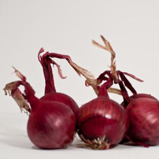 Zwiebel rot