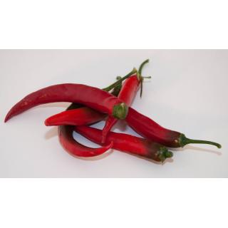 Peperoncini farbig