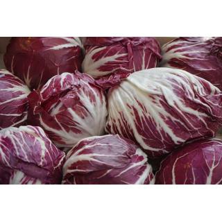 Ciccorino rosso