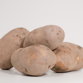 Kartoffeln Agria ungewaschen